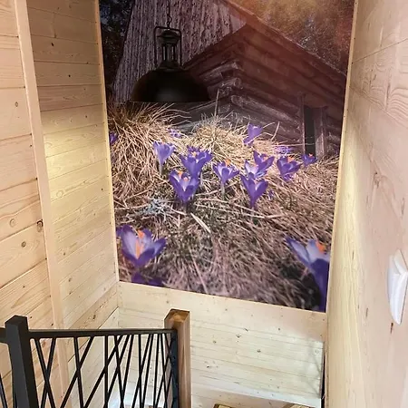 Na Starej Drodze Ciche (Nowy Targ)